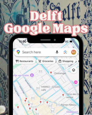 Delft Google Maps Download