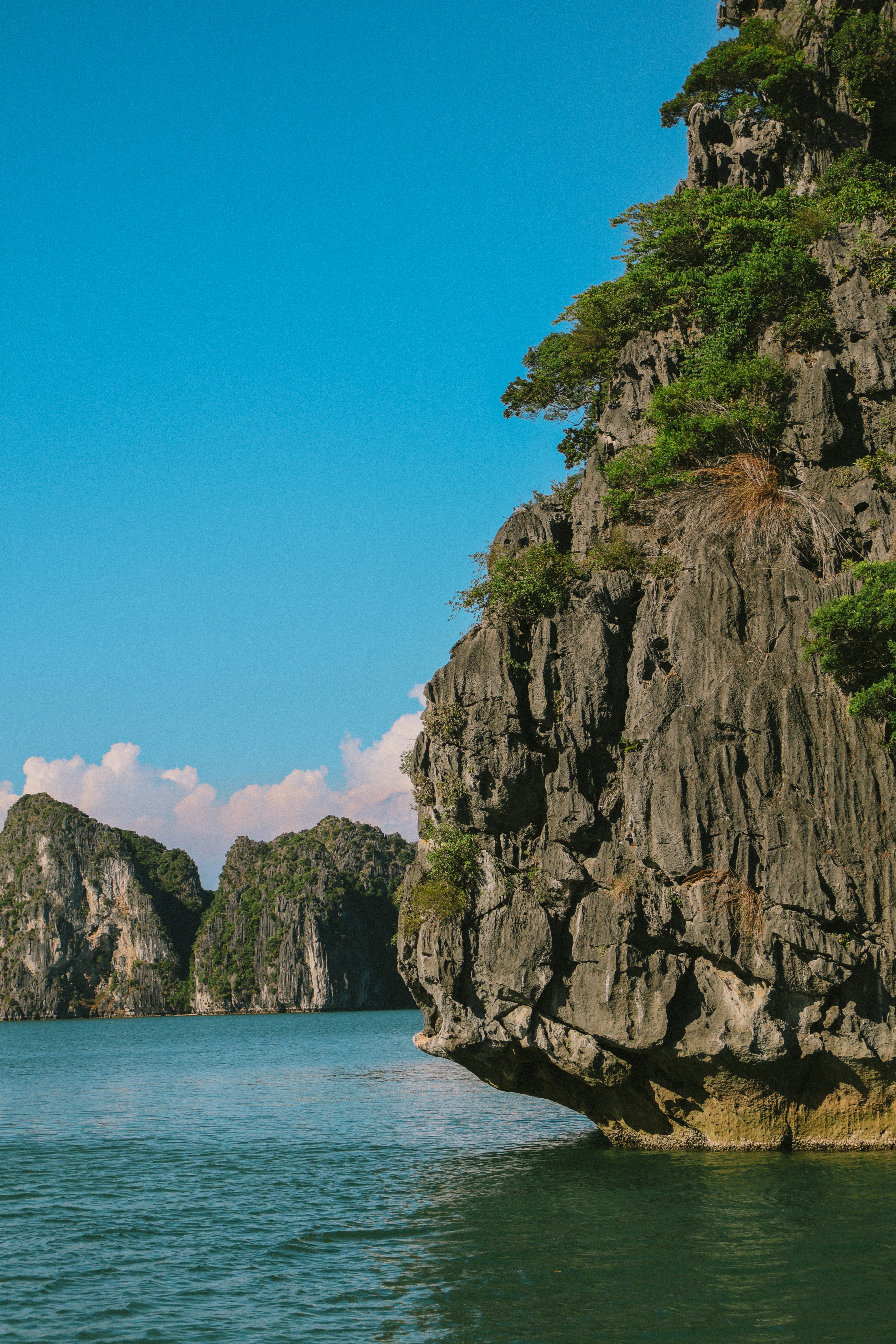 Halong Bay's limestone karsts rising from the blue-green water under a clear sky.