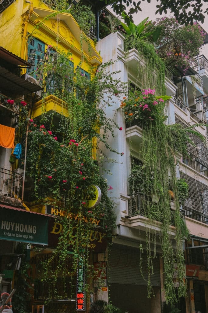 Hanoi architecture: Yellow and white buildings covered in lush green vines and flowers. "Huy Hoang" sign visible.