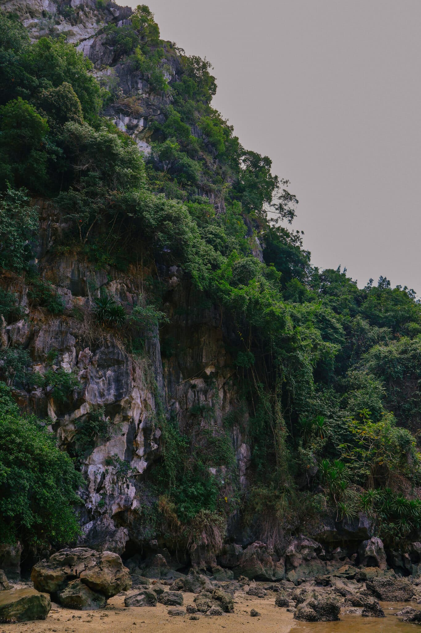 Lush green jungle covers limestone cliffs along a Ha Long Bay beach.