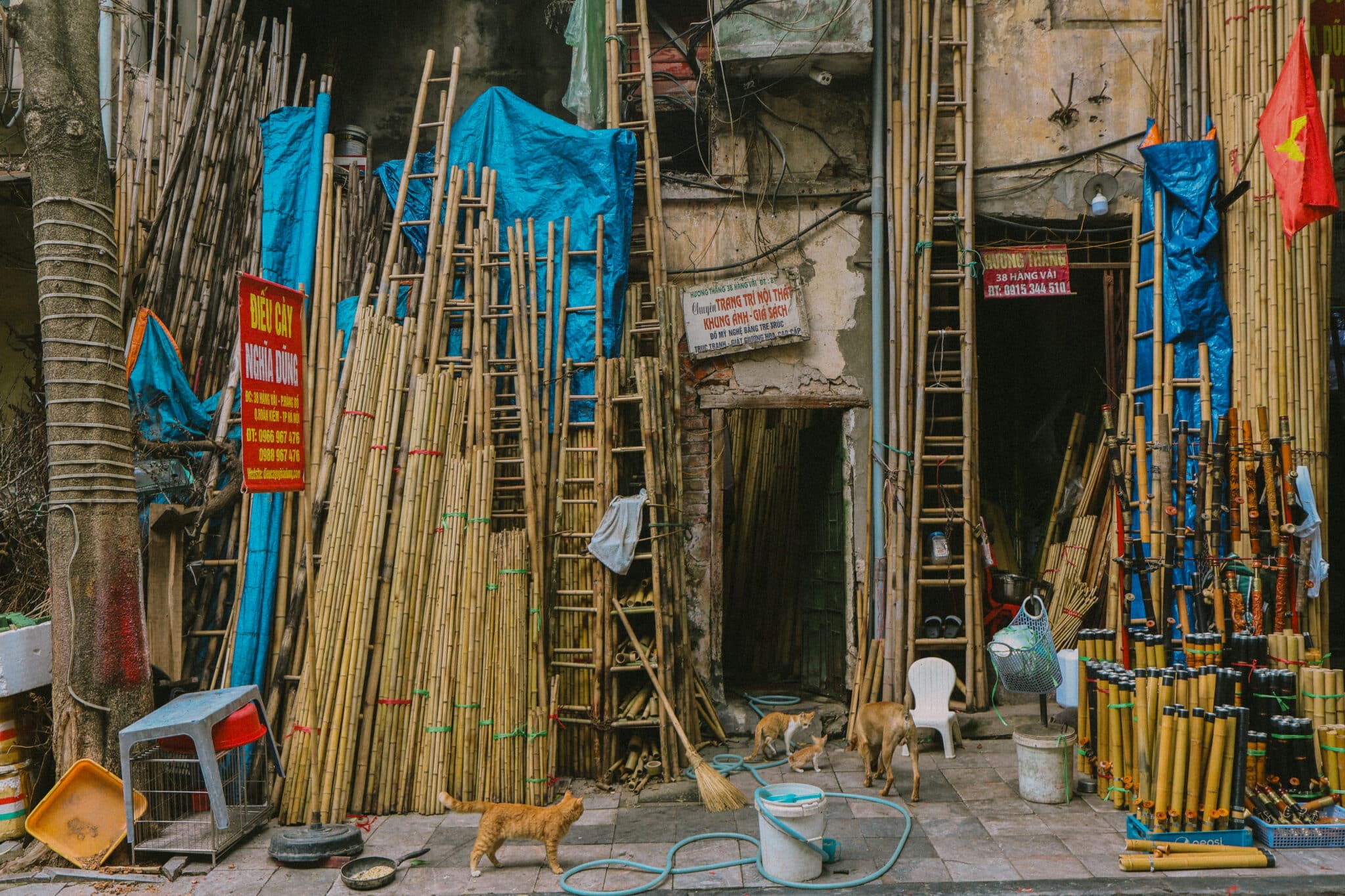 Hanoi Old Quarter street scene with bamboo, ladders, and dogs.